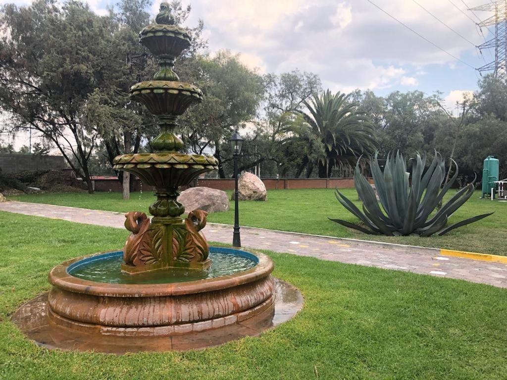 Oliver - Tlanepantla 3*